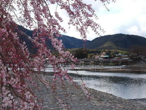 P4018085shuusei.JPG