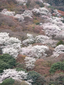 P4018139shuusei.JPG