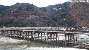 P4018032shuusei.JPG