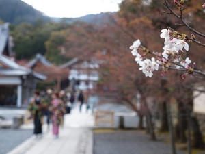 P4018156shuusei.JPG