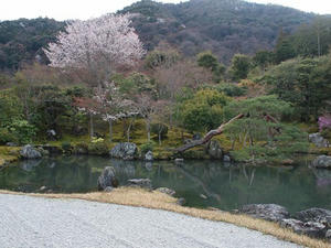 P4018177shuusei.JPG