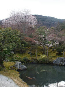 P4018167shuusei.JPG