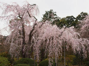 P4018197shuusei.JPG