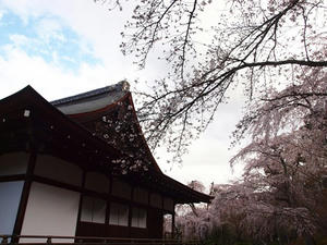 P4018225shuusei.JPG
