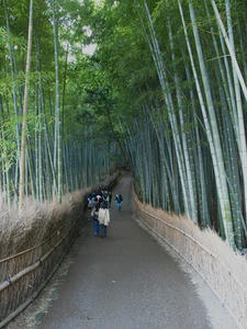 P4018242shuusei.JPG