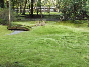 P4018250shuusei.JPG