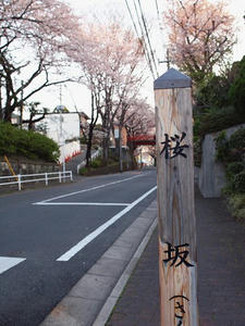 P4038386.shuuseiJPG.jpg