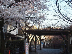 P4038483shuusei.JPG