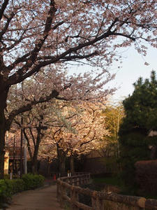 P4038506shuusei.JPG