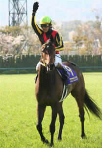 20090412-00000020-spnavi-horse-view-000.jpg
