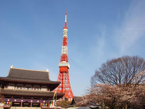 P4038518shuusei.JPG