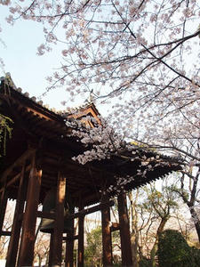 P4038540shuusei.JPG