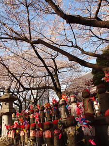 P4038572shuusei.JPG