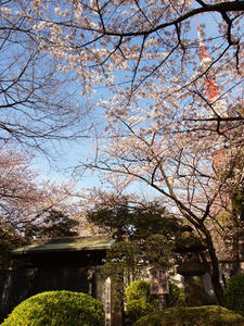 P4038582shuusei.JPG