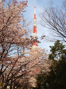 P4038565shuusei.JPG