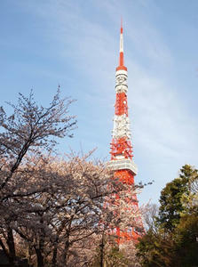 P4038558shuusei.JPG