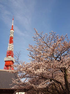 P4038577shuusei.JPG