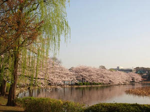 P4069214shuusei.JPG