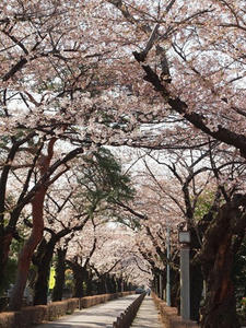 P4038635shuusei.JPG