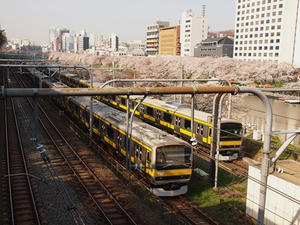 P4069216shuusei.JPG