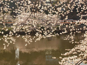 P4069253shuusei.JPG