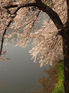 P4069324shuusei.JPG