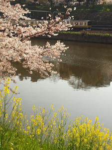 P4069310shuusei.JPG