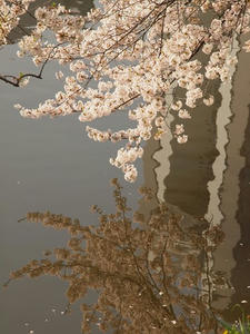 P4069284shuusei.JPG