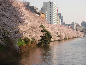 P4069349shuusei.JPG