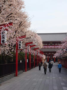 P4048837shuusei.JPG