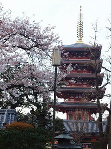 P4048860shuusei.JPG