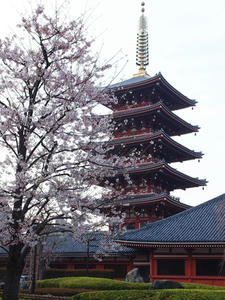P4048867shuusei.JPG