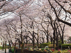 P4048891shuusei.JPG