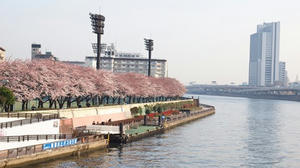 P4048915shuusei.JPG