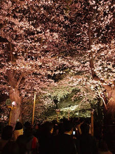 P4038771shuusei.JPG