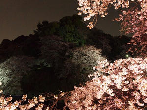 P4038693shuusei.JPG
