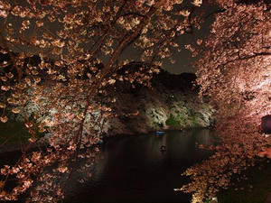 P4038713shuusei.JPG