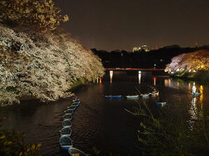 P4038809shuusei.JPG