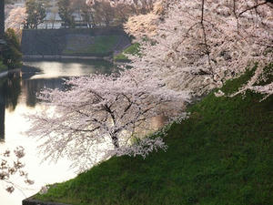 P4068970shuusei.JPG