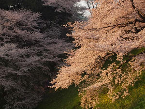 P4068984shuusei.JPG
