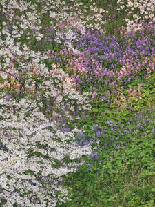 P4068978shuusei.JPG