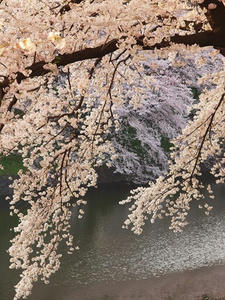 P4069028shuusei.JPG