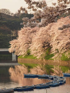 P4069062shuusei.JPG
