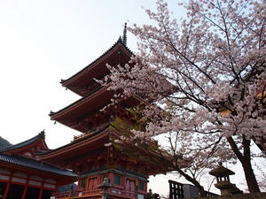 P4079395shuusei.JPG