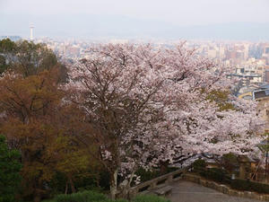 P4079399shuusei.JPG