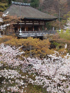 P4079445shuusei.JPG