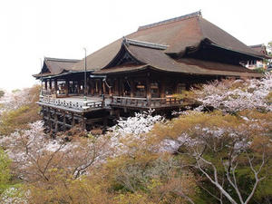 P4079455shuusei.JPG
