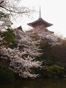 P4079523shuusei.JPG