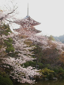 P4079534shuusei.JPG
