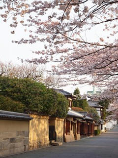 P4079583shuusei.JPG
